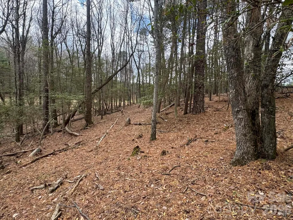 TBD Ward Circle Drive #33 Sparta, NC 28675