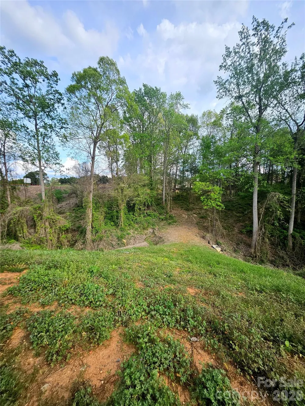 1110 Clark Hill Drive Belmont, NC 28012