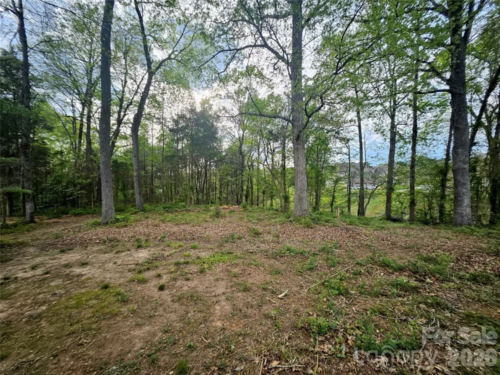 1110 Clark Hill Drive Belmont, NC 28012