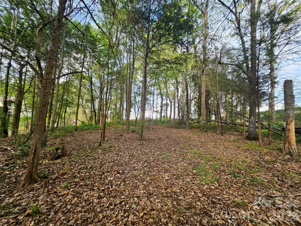 1110 Clark Hill Drive Belmont, NC 28012