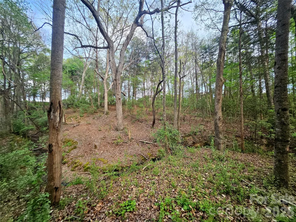1110 Clark Hill Drive Belmont, NC 28012