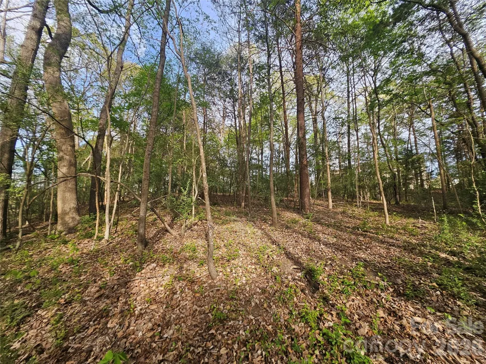 1110 Clark Hill Drive Belmont, NC 28012