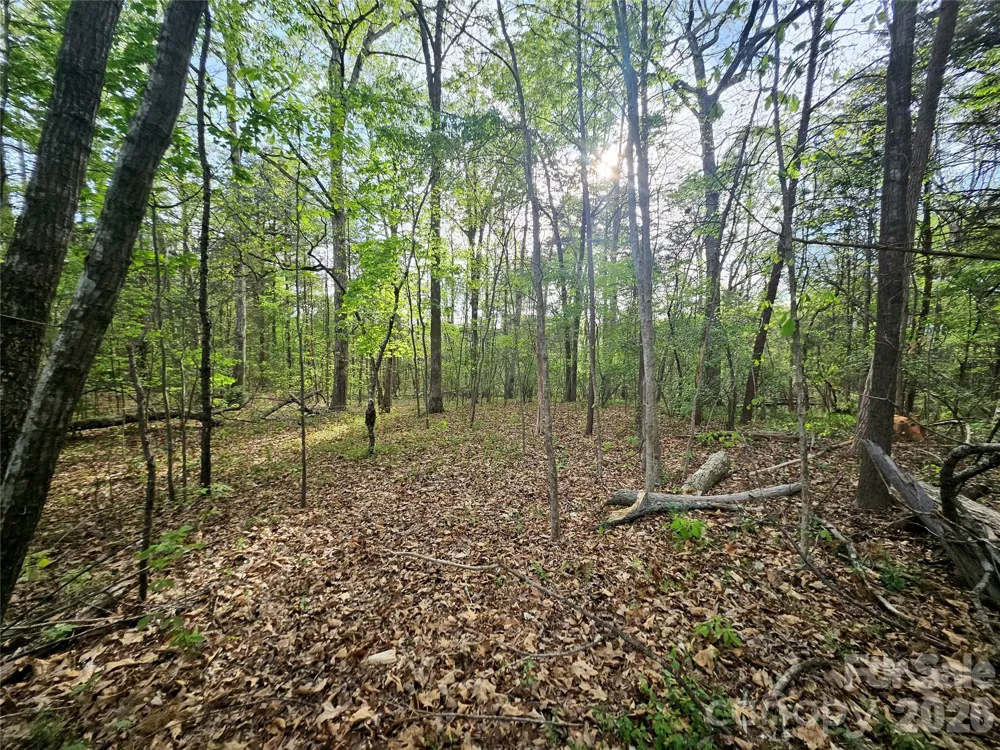 1110 Clark Hill Drive Belmont, NC 28012