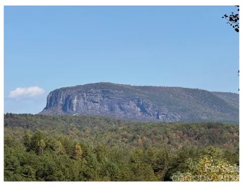 Lot #4 Pisgah Preserve Drive
