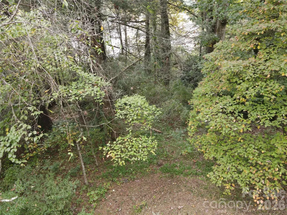 1 Main Entrance Street Brevard, NC 28712