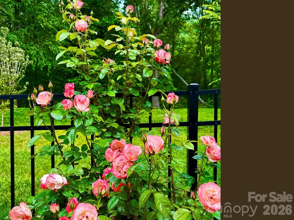 31 Cozy Cottage Way Arden, NC 28704