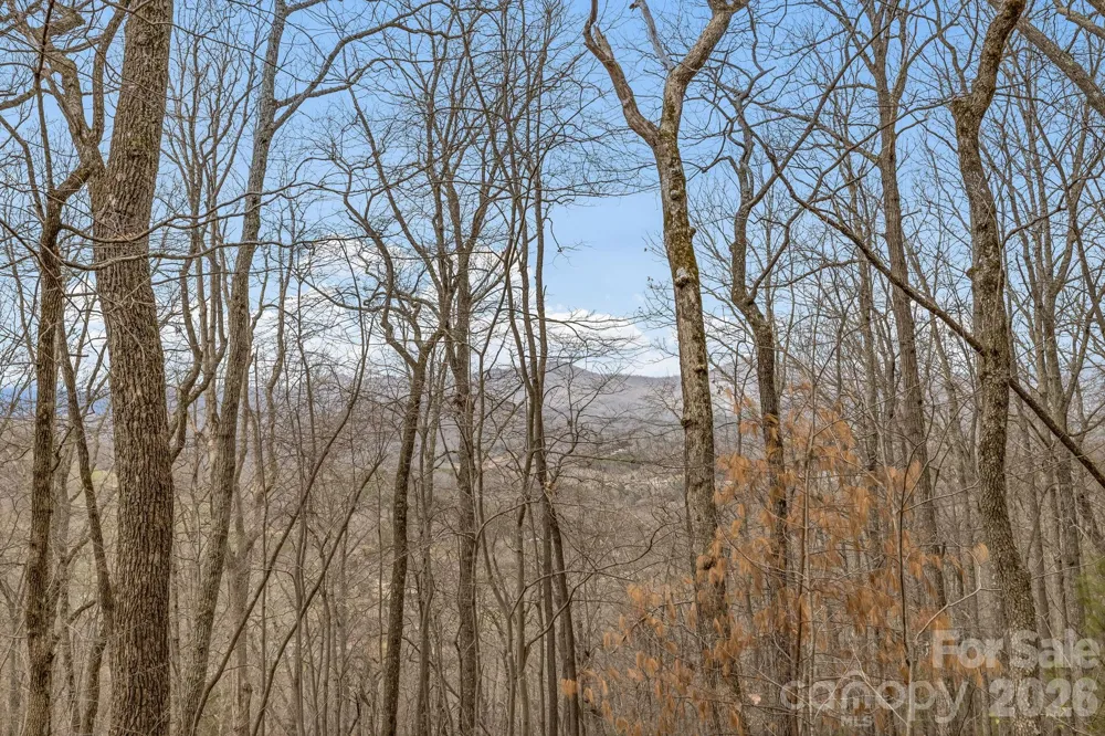 99999 Oak Ridge Road Swannanoa, NC 28778