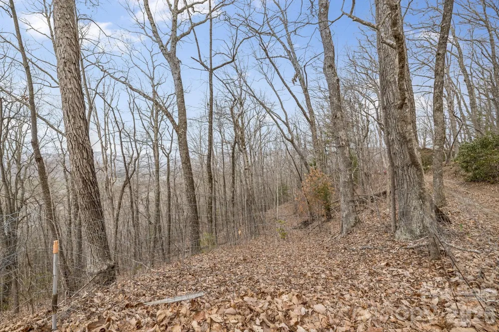 99999 Oak Ridge Road Swannanoa, NC 28778