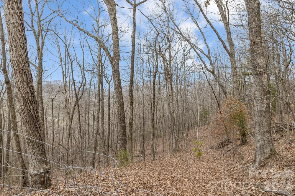 99999 Oak Ridge Road Swannanoa, NC 28778