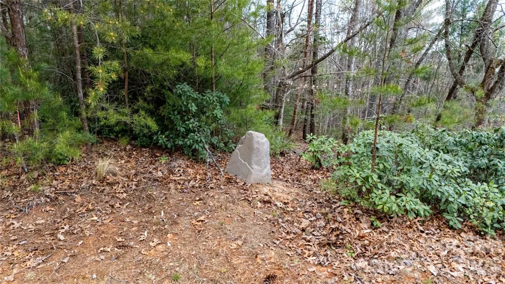 0000 High Trail Drive Nebo, NC 28761