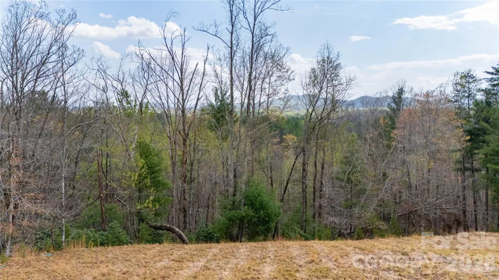 0000 High Trail Drive Nebo, NC 28761