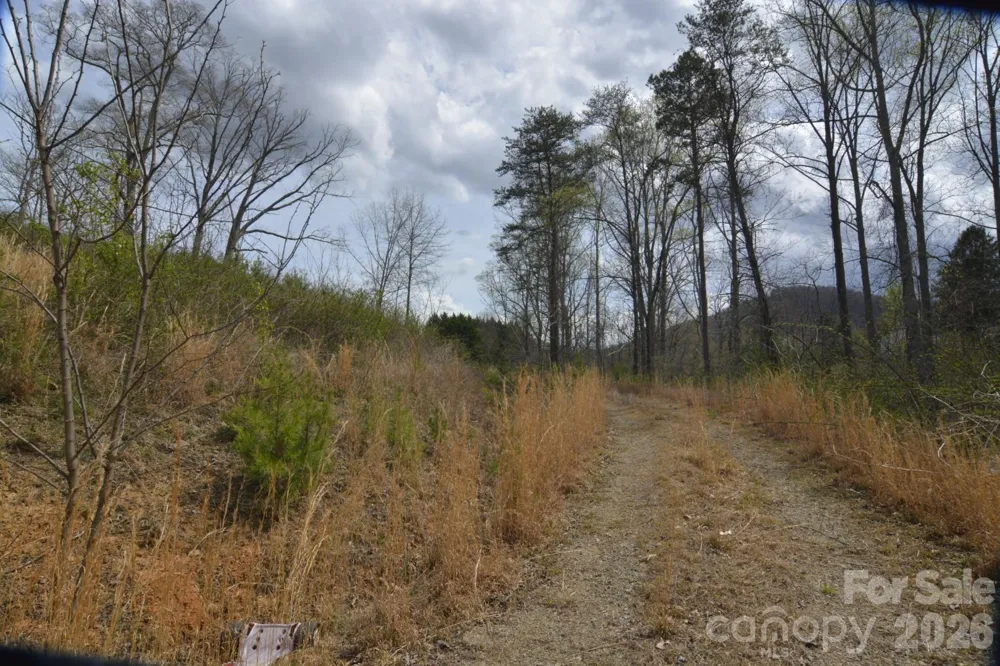 535 Old Newfound Road Leicester, NC 28748