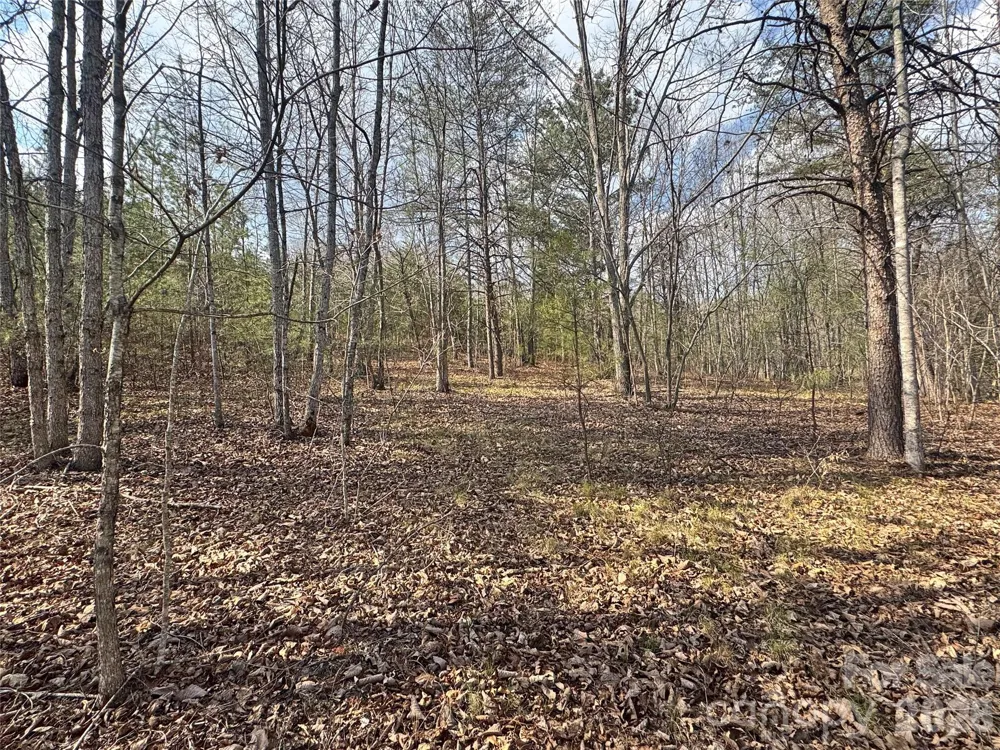 VL Amberwood Place #17 Rutherfordton, NC 28139