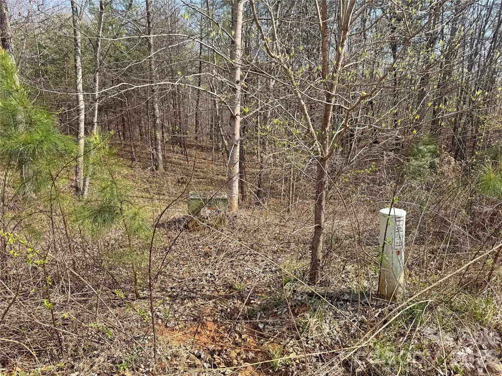 VL Amberwood Place #17 Rutherfordton, NC 28139
