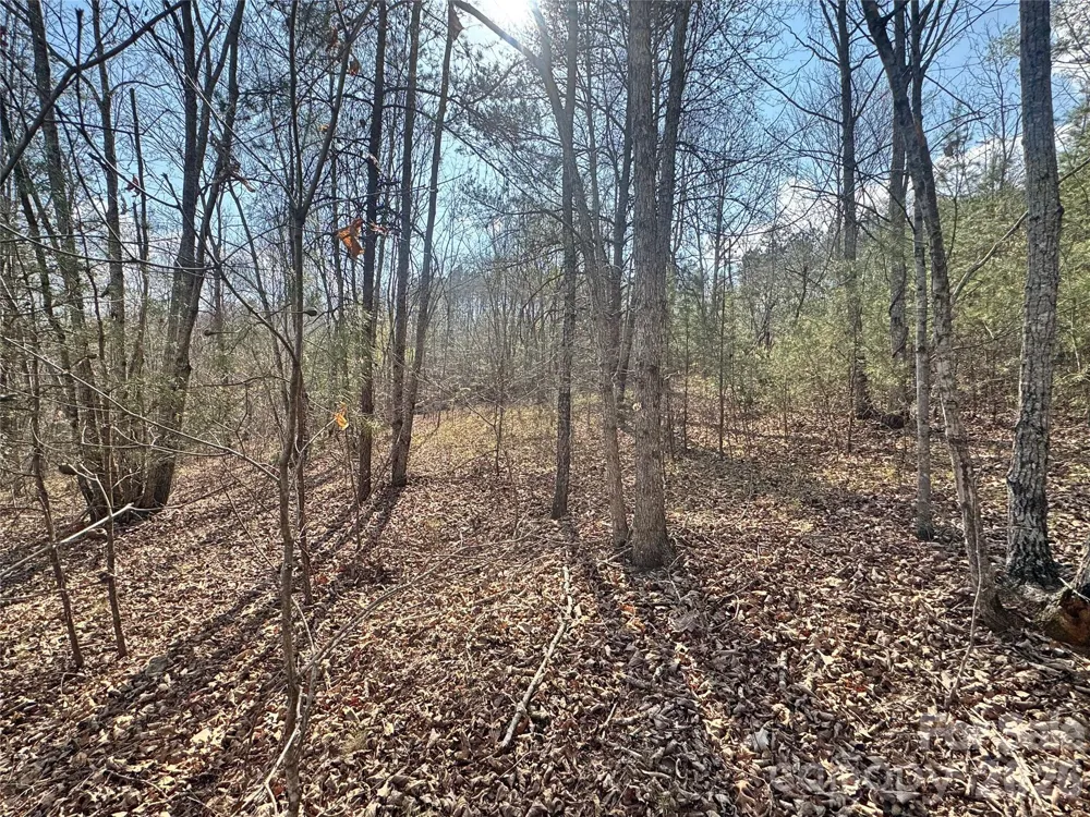 VL Amberwood Place #17 Rutherfordton, NC 28139