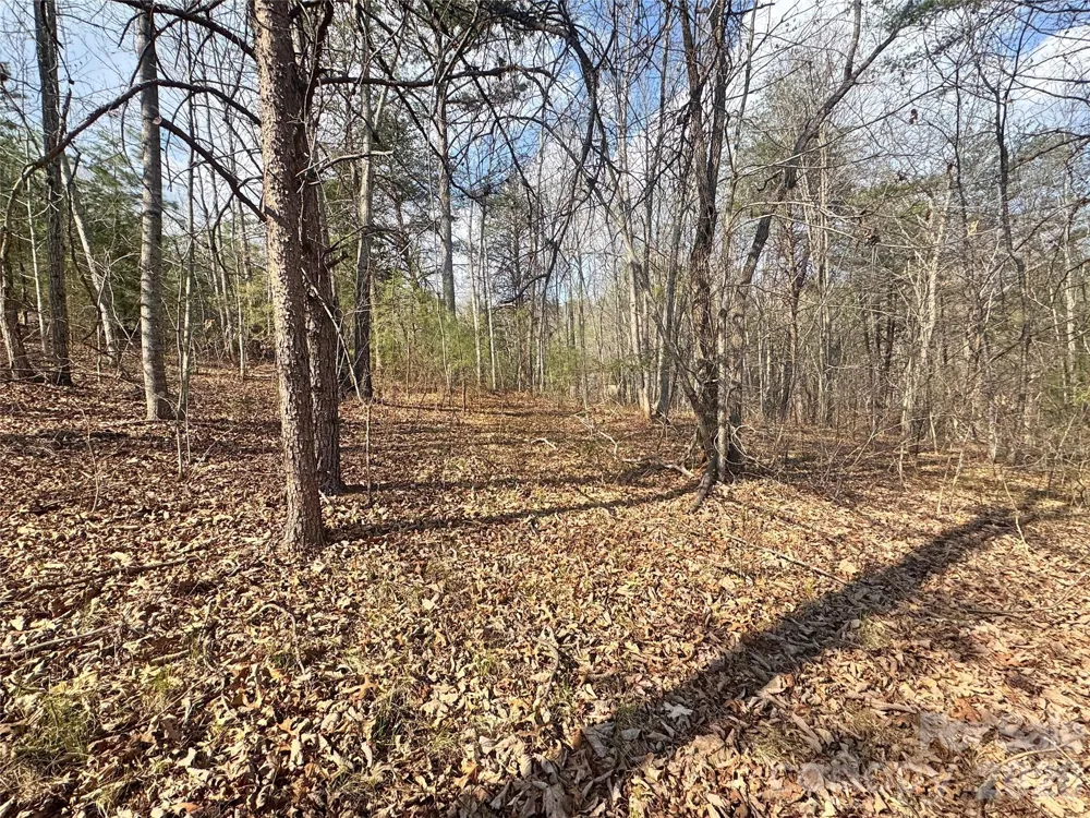 VL Amberwood Place #17 Rutherfordton, NC 28139