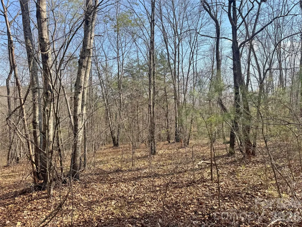 VL Amberwood Place #17 Rutherfordton, NC 28139