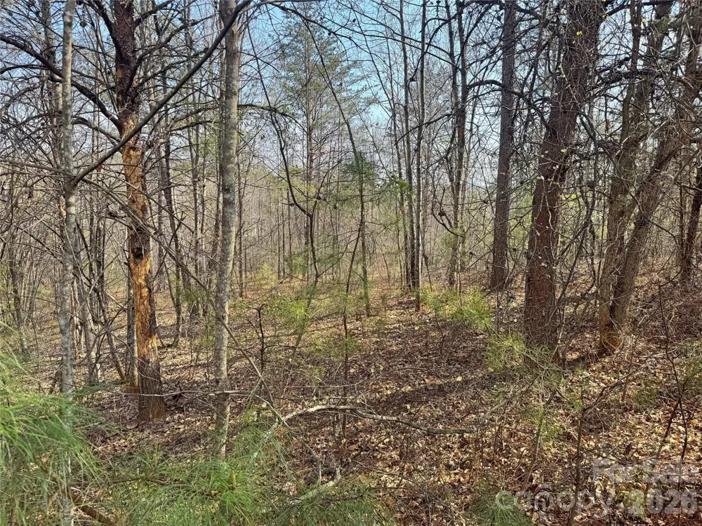 VL Amberwood Place #17 Rutherfordton, NC 28139