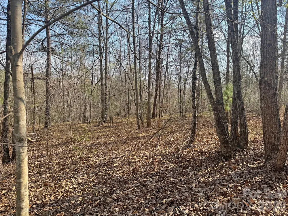 VL Amberwood Place #17 Rutherfordton, NC 28139