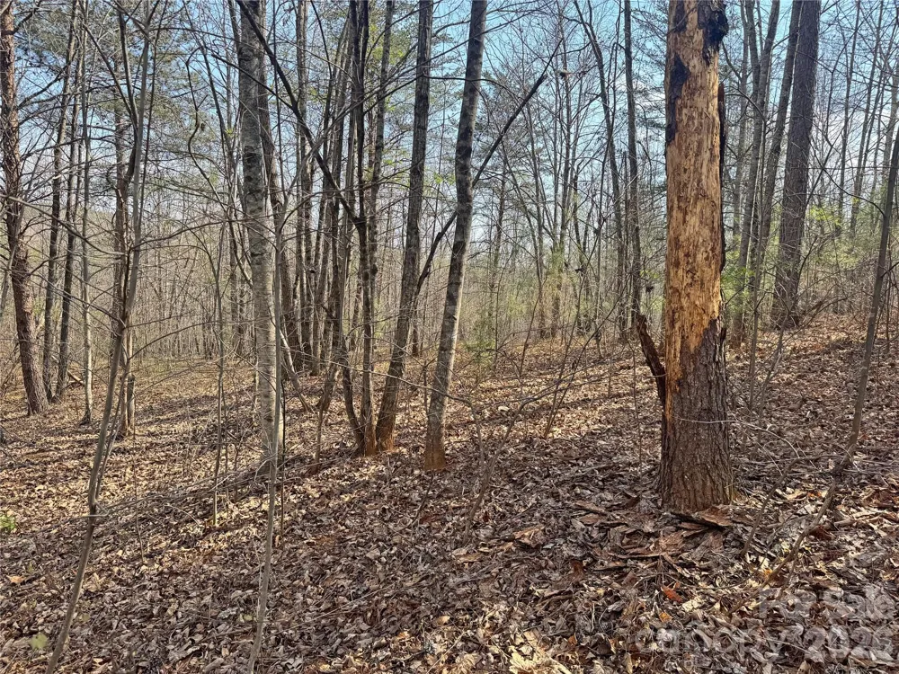 VL Amberwood Place #17 Rutherfordton, NC 28139