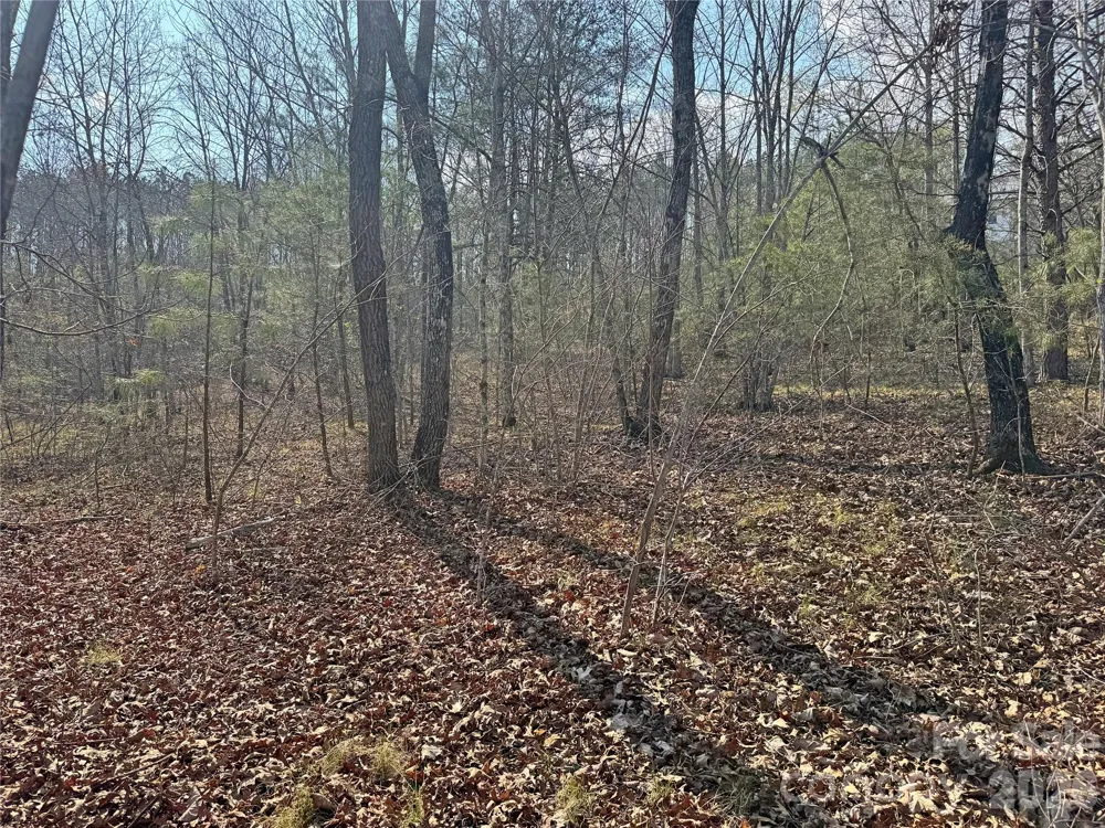 VL Amberwood Place #17 Rutherfordton, NC 28139