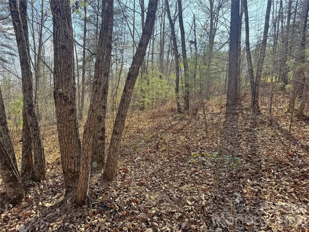 VL Amberwood Place #17 Rutherfordton, NC 28139