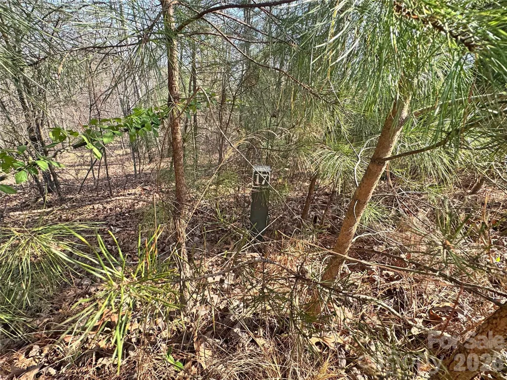 VL Amberwood Place #17 Rutherfordton, NC 28139