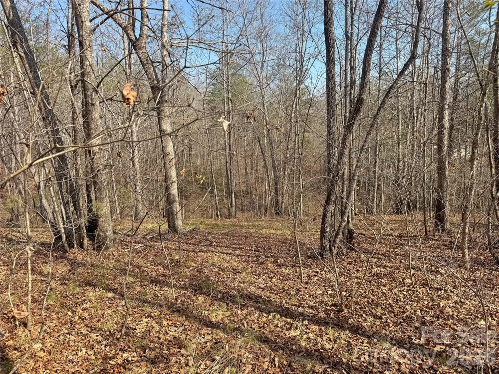 VL Amberwood Place #17 Rutherfordton, NC 28139