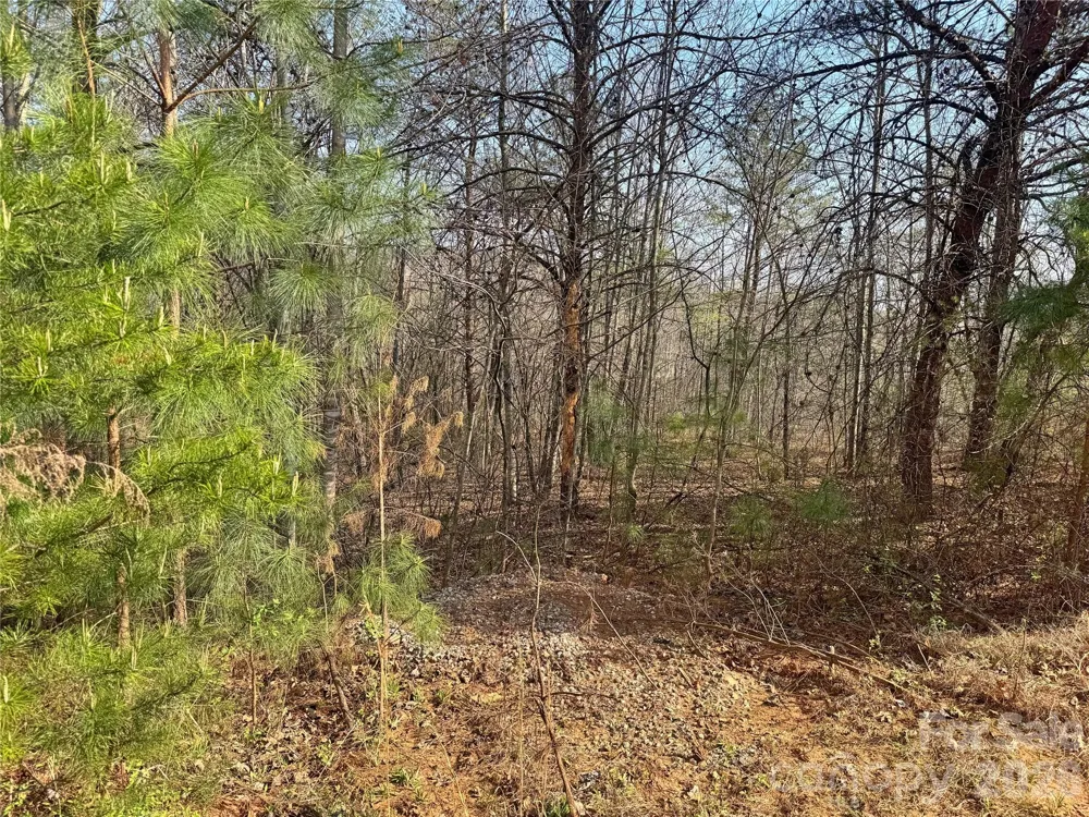 VL Amberwood Place #17 Rutherfordton, NC 28139