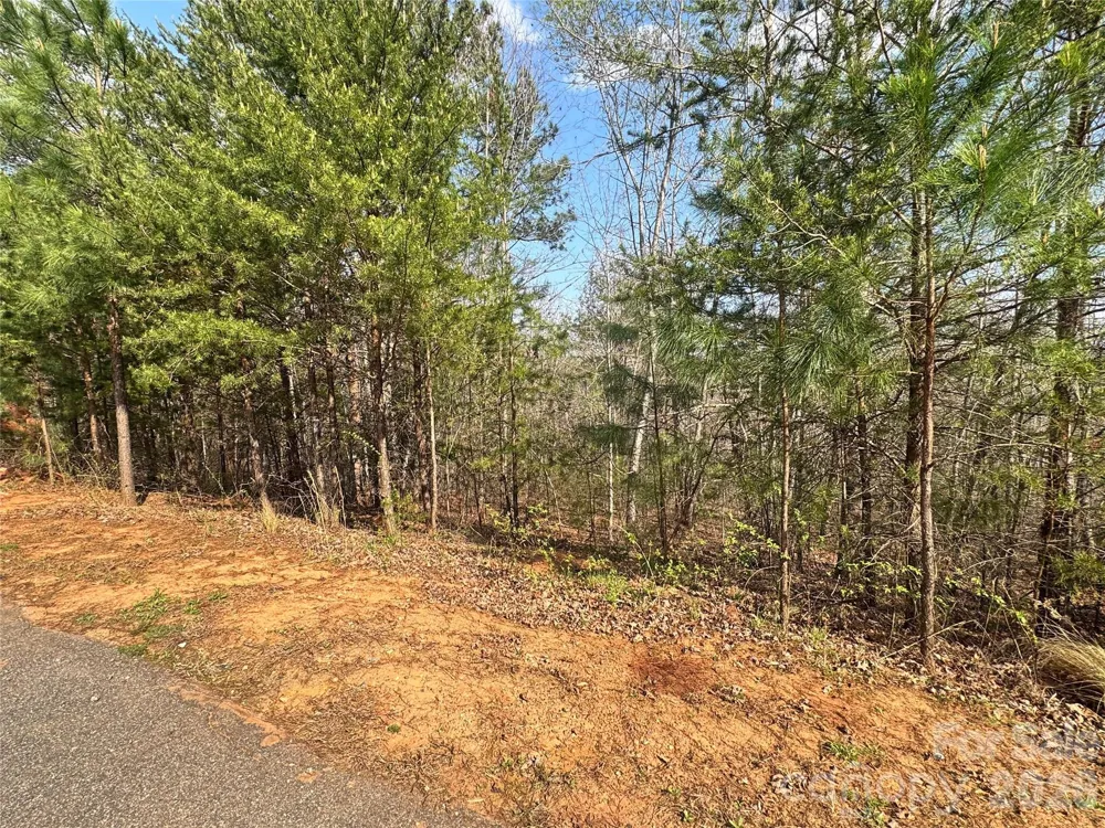 VL Amberwood Place #17 Rutherfordton, NC 28139