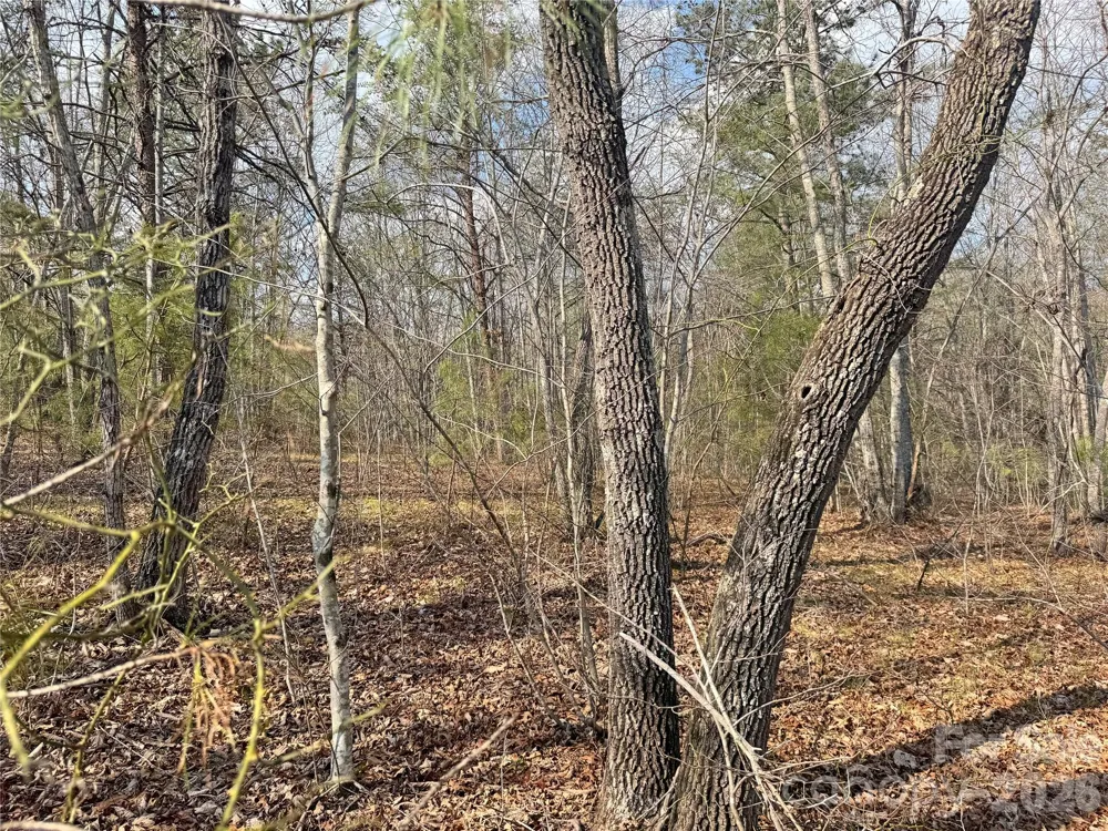 VL Amberwood Place #17 Rutherfordton, NC 28139