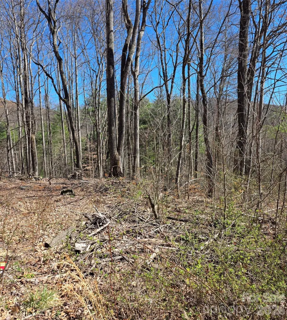 00 Altamont Way Newland, NC 28657