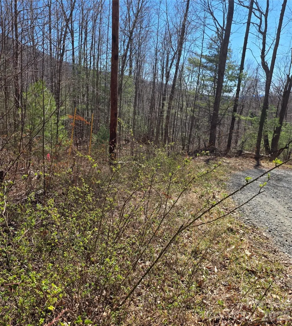 00 Altamont Way Newland, NC 28657