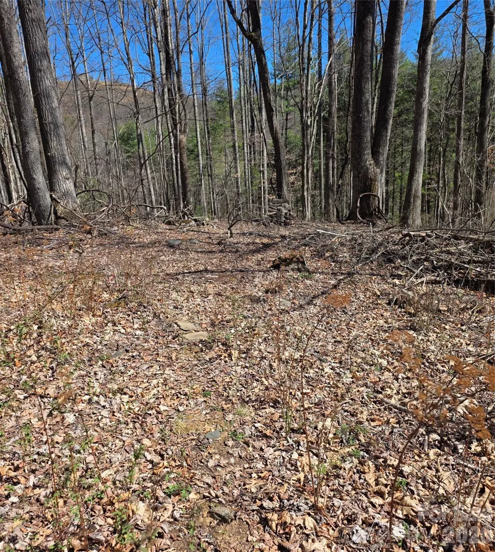 00 Altamont Way Newland, NC 28657
