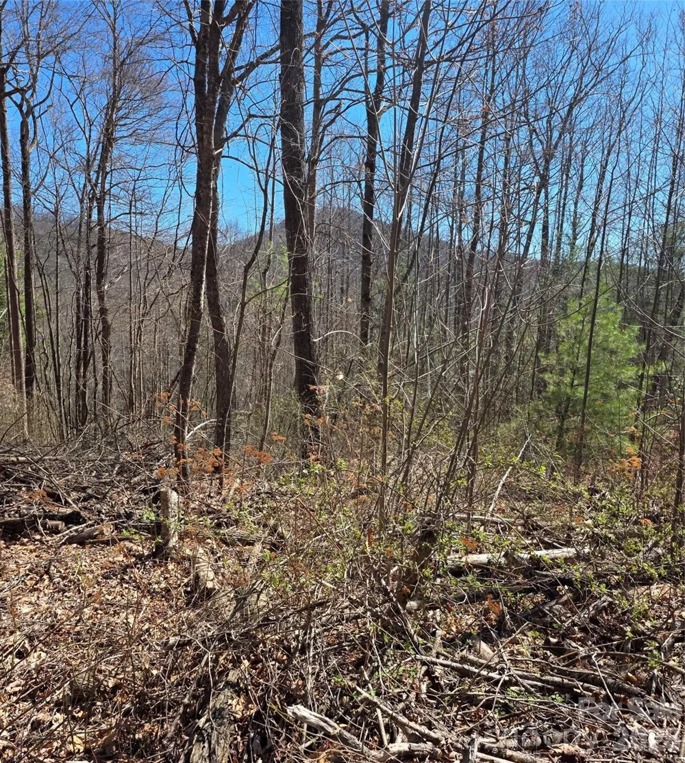 00 Altamont Way Newland, NC 28657