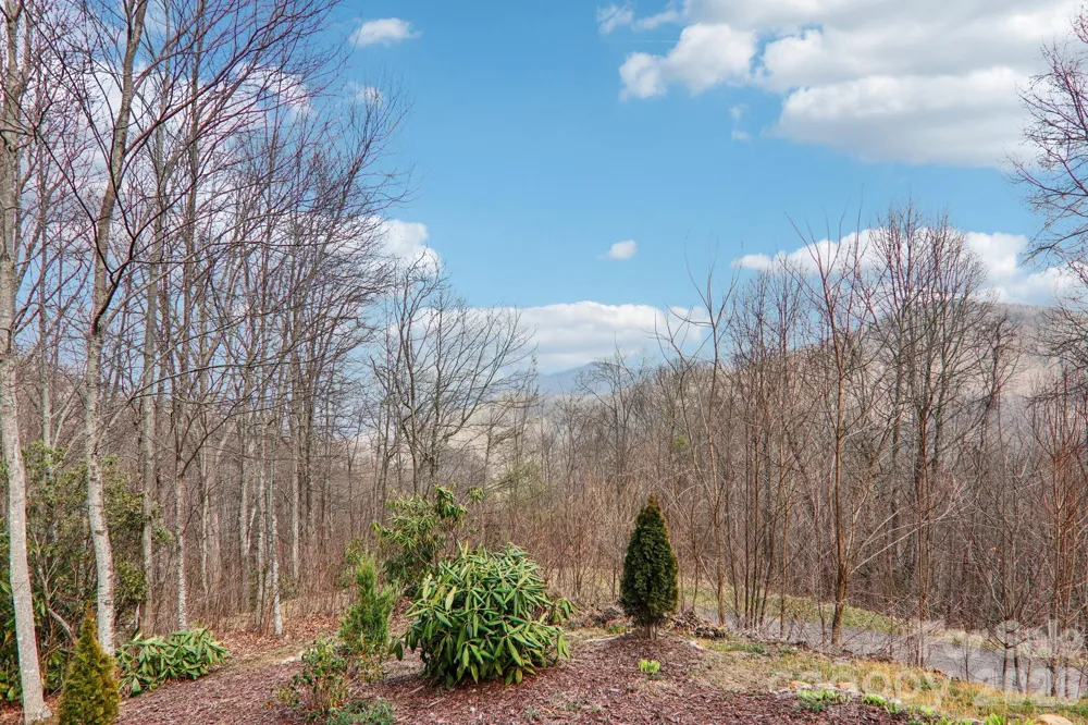 14 Chandra Lane Clyde, NC 28721