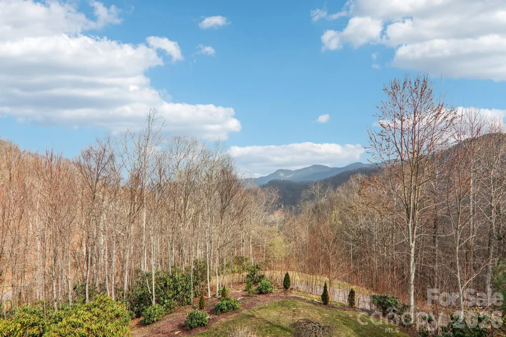 14 Chandra Lane Clyde, NC 28721