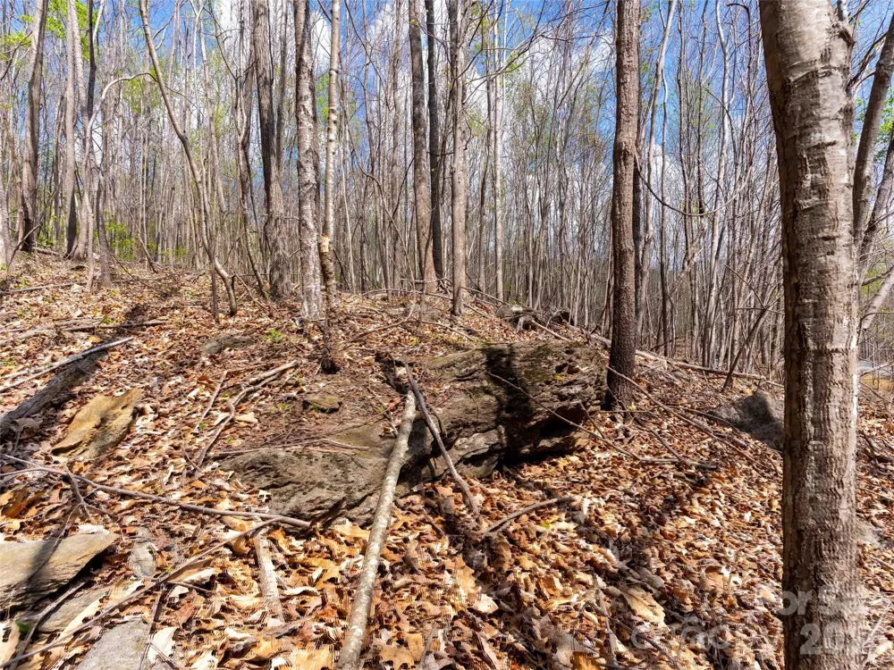 Lot 196 Cherry Hill #196 Mill Spring, NC 28756