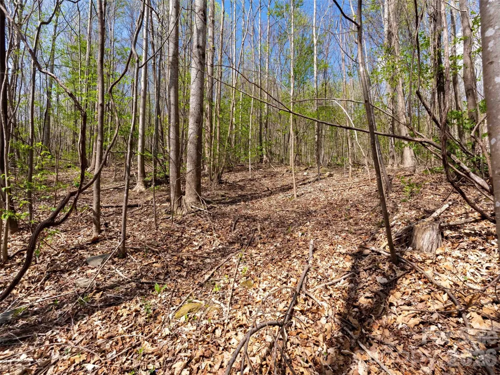 Lot 196 Cherry Hill #196 Mill Spring, NC 28756