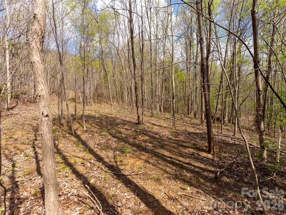 Lot 196 Cherry Hill #196 Mill Spring, NC 28756