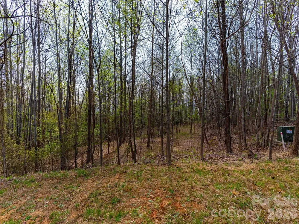 Lot 196 Cherry Hill #196 Mill Spring, NC 28756