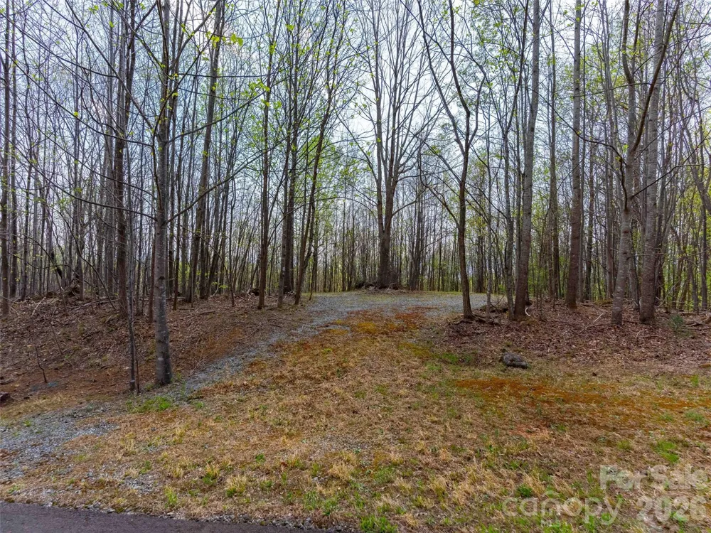 Lot 196 Cherry Hill #196 Mill Spring, NC 28756