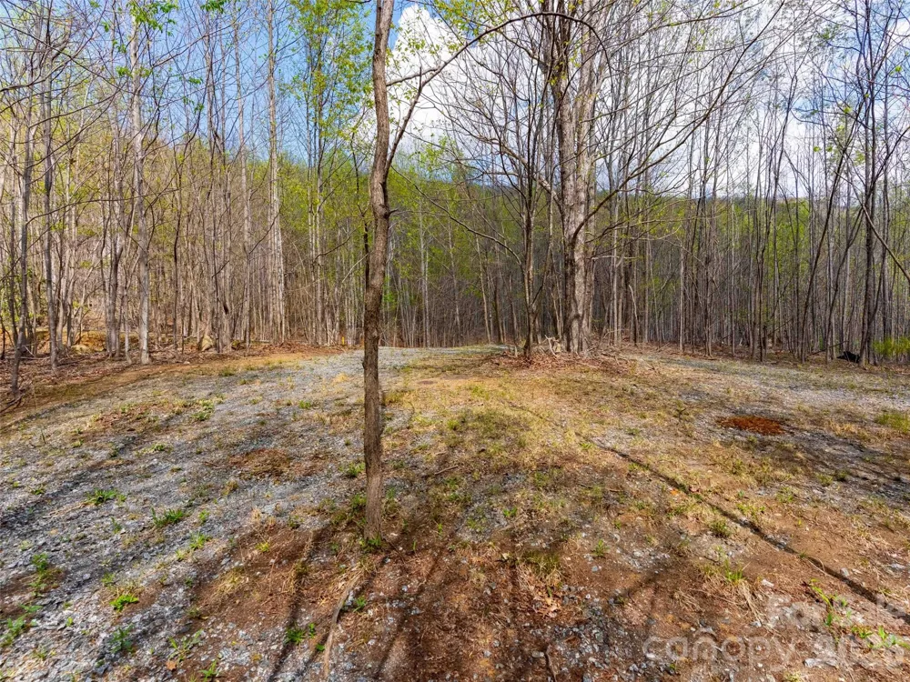 Lot 196 Cherry Hill #196 Mill Spring, NC 28756