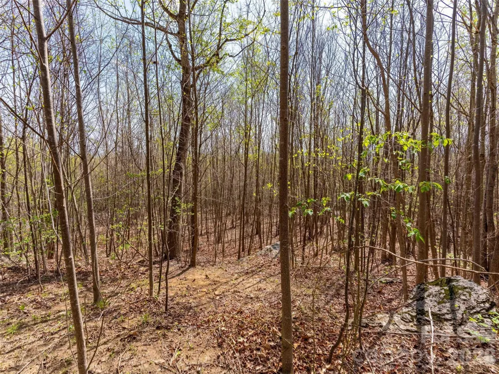 Lot 196 Cherry Hill #196 Mill Spring, NC 28756