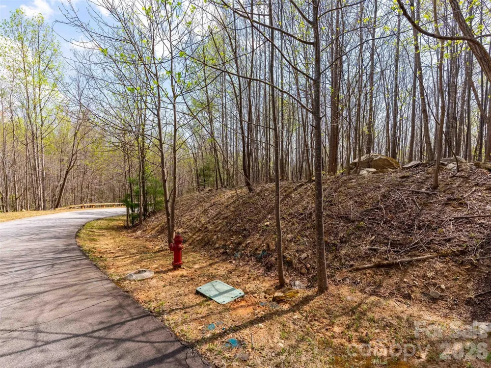 Lot 196 Cherry Hill #196 Mill Spring, NC 28756