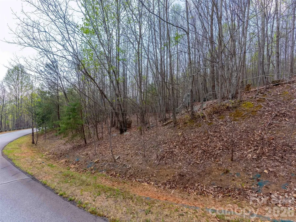 Lot 196 Cherry Hill #196 Mill Spring, NC 28756
