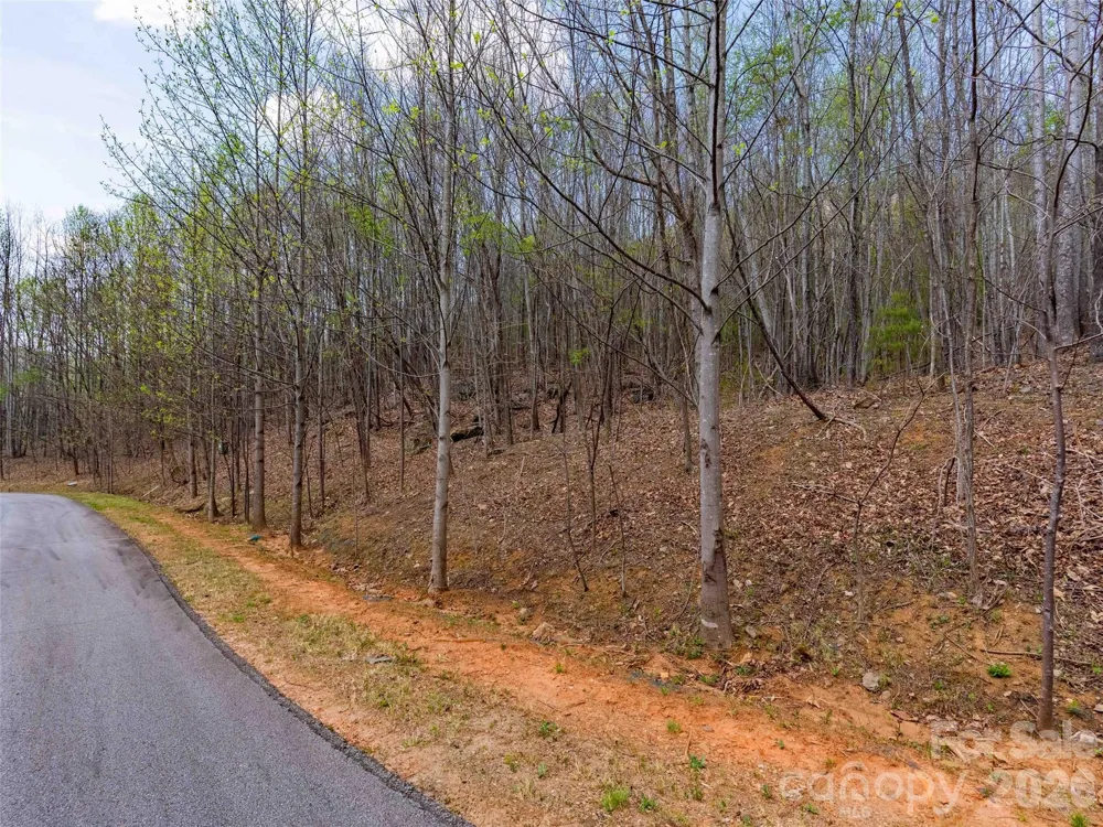 Lot 196 Cherry Hill #196 Mill Spring, NC 28756