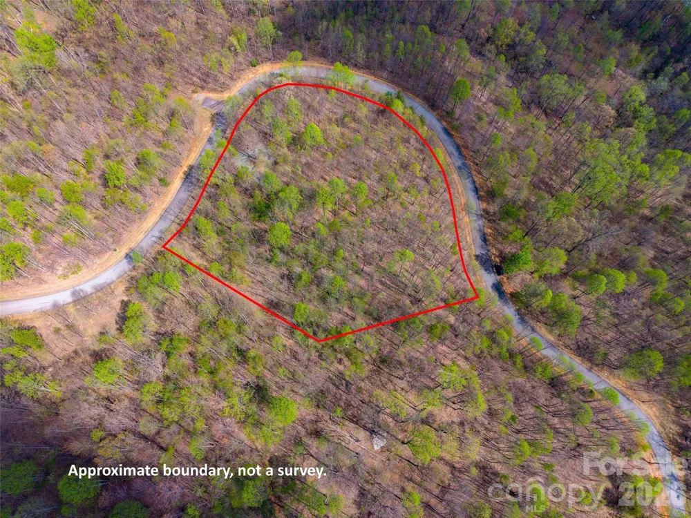 Lot 196 Cherry Hill #196 Mill Spring, NC 28756