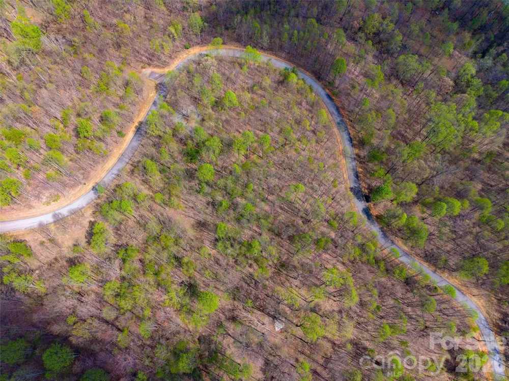 Lot 196 Cherry Hill #196 Mill Spring, NC 28756