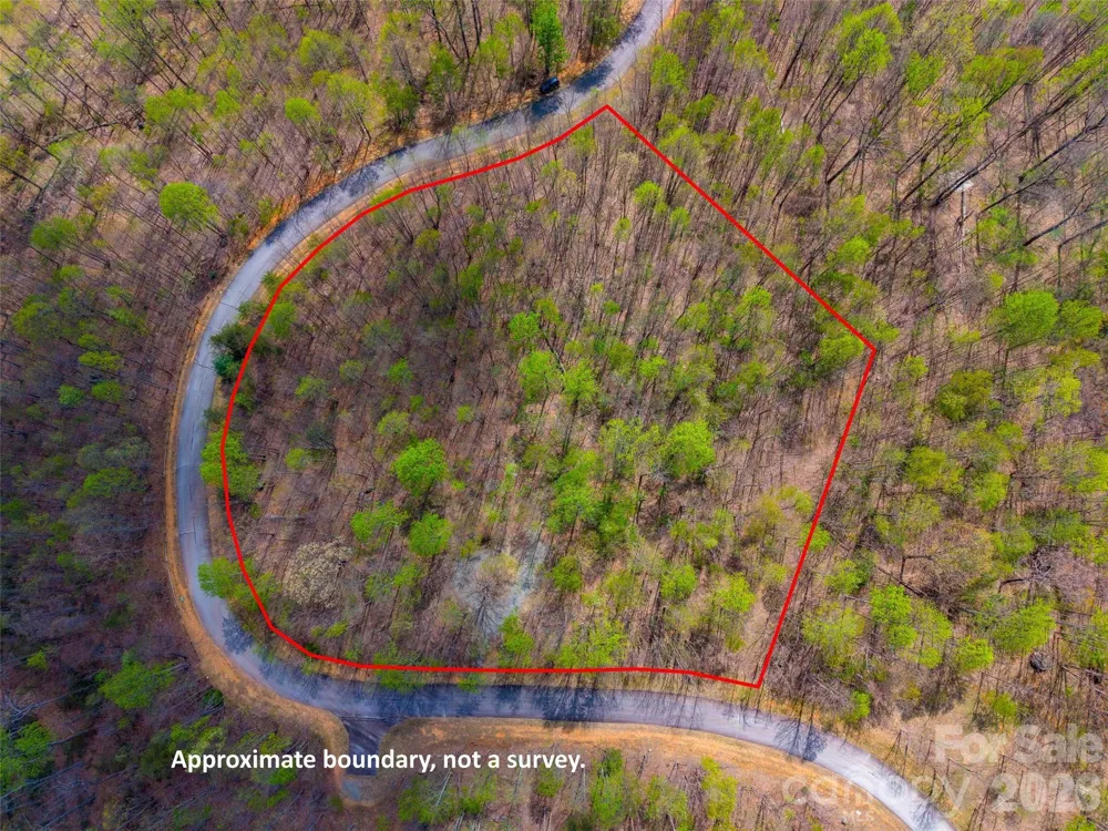 Lot 196 Cherry Hill #196 Mill Spring, NC 28756